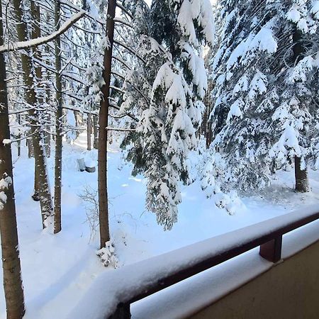 Forest Apartment/ Villa Park Боровец Екстер'єр фото